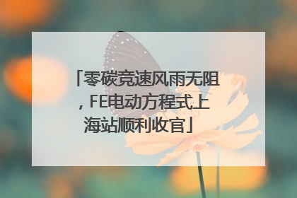 零碳竞速风雨无阻，FE电动方程式上海站顺利收官