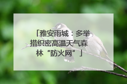 雅安雨城：多举措织密高温天气森林“防火网”
