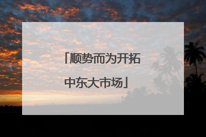 顺势而为开拓中东大市场
