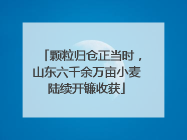 颗粒归仓正当时，山东六千余万亩小麦陆续开镰收获