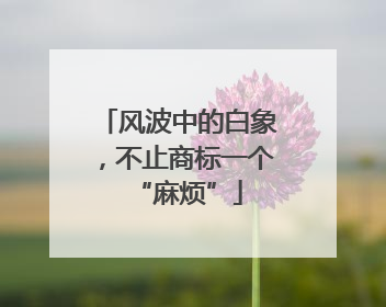 风波中的白象，不止商标一个“麻烦”