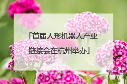 首届人形机器人产业链接会在杭州举办