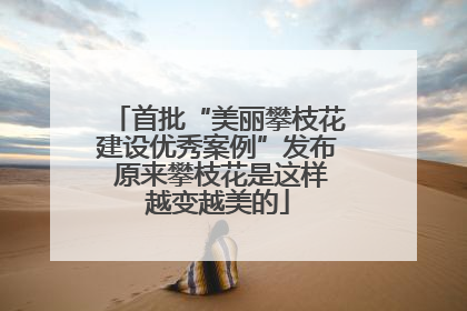 首批“美丽攀枝花建设优秀案例”发布 原来攀枝花是这样越变越美的