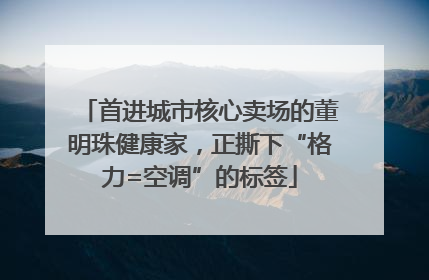 首进城市核心卖场的董明珠健康家，正撕下“格力=空调”的标签