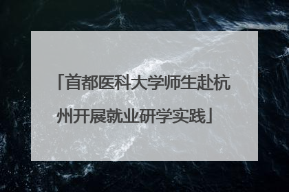 首都医科大学师生赴杭州开展就业研学实践