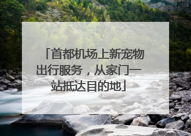 首都机场上新宠物出行服务，从家门一站抵达目的地