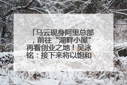 马云现身阿里总部，前往“湖畔小屋”再看创业之地！吴泳铭：接下来将以饱和式投入的打法，聚焦于几大核心战役