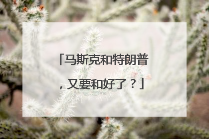 马斯克和特朗普，又要和好了？