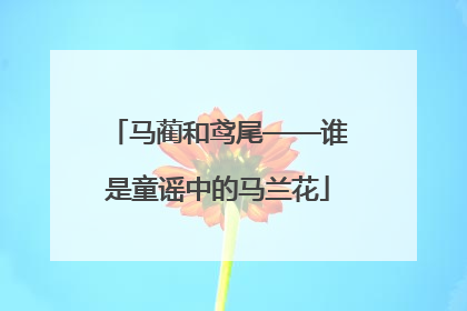 马蔺和鸢尾——谁是童谣中的马兰花