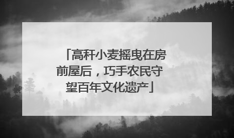 高秆小麦摇曳在房前屋后，巧手农民守望百年文化遗产