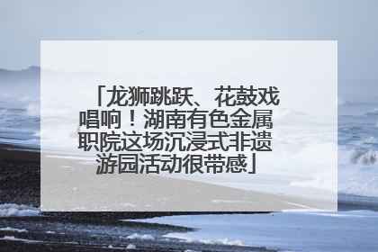 龙狮跳跃、花鼓戏唱响！湖南有色金属职院这场沉浸式非遗游园活动很带感