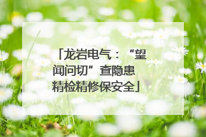 龙岩电气：“望闻问切”查隐患 精检精修保安全