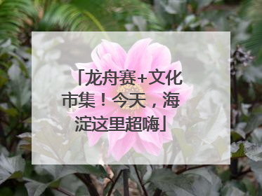 龙舟赛+文化市集！今天，海淀这里超嗨