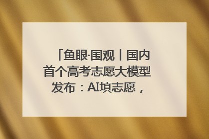 鱼眼·围观丨国内首个高考志愿大模型发布：AI填志愿，靠不靠谱？