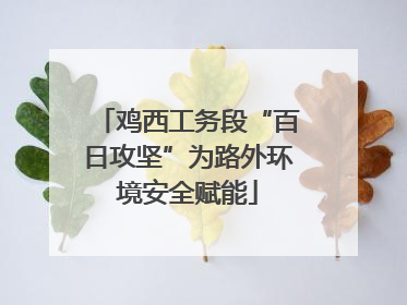 鸡西工务段“百日攻坚”为路外环境安全赋能