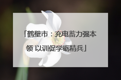 鹤壁市：充电蓄力强本领 以训促学砺精兵