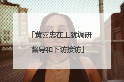 黄喜忠在上犹调研督导和下访接访