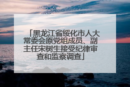黑龙江省绥化市人大常委会原党组成员、副主任宋树生接受纪律审查和监察调查