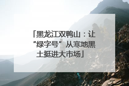 黑龙江双鸭山：让“绿字号”从寒地黑土挺进大市场