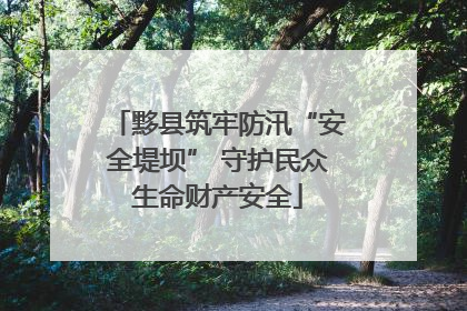 黟县筑牢防汛“安全堤坝” 守护民众生命财产安全