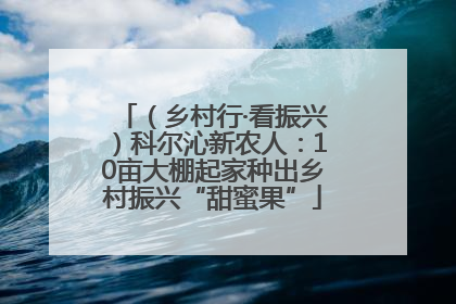 （乡村行·看振兴）科尔沁新农人：10亩大棚起家种出乡村振兴“甜蜜果”