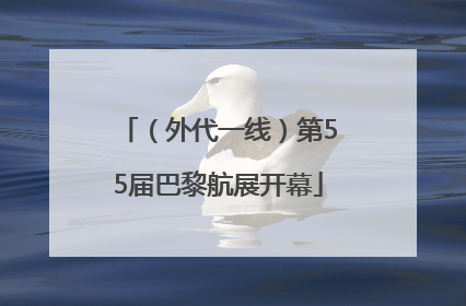 （外代一线）第55届巴黎航展开幕