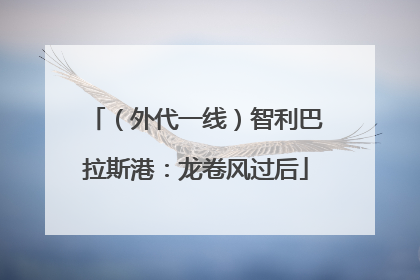 （外代一线）智利巴拉斯港：龙卷风过后