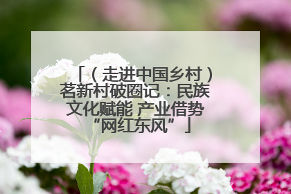 （走进中国乡村）茗新村破圈记：民族文化赋能 产业借势 “网红东风”
