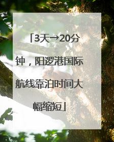 3天→20分钟，阳逻港国际航线靠泊时间大幅缩短