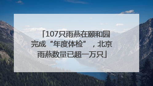 107只雨燕在颐和园完成“年度体检”，北京雨燕数量已超一万只