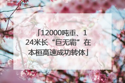 12000吨重、124米长“巨无霸”在本桓高速成功转体