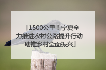 1500公里！宁夏全力推进农村公路提升行动 助推乡村全面振兴