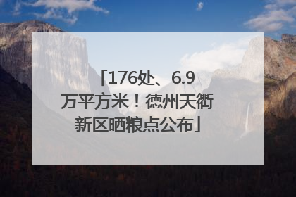 176处、6.9万平方米！德州天衢新区晒粮点公布