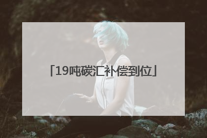 19吨碳汇补偿到位