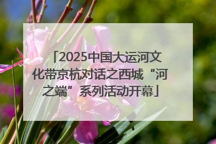 2025中国大运河文化带京杭对话之西城“河之端”系列活动开幕