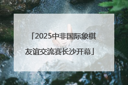 2025中非国际象棋友谊交流赛长沙开幕