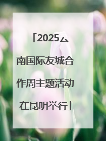 2025云南国际友城合作周主题活动在昆明举行