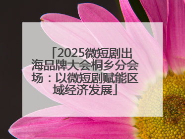 2025微短剧出海品牌大会桐乡分会场：以微短剧赋能区域经济发展