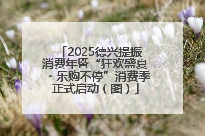 2025德兴提振消费年暨“狂欢盛夏・乐购不停”消费季正式启动（图）