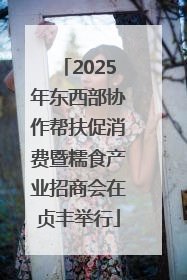 2025年东西部协作帮扶促消费暨糯食产业招商会在贞丰举行