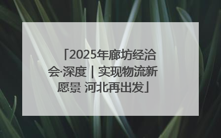 2025年廊坊经洽会·深度｜实现物流新愿景 河北再出发