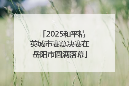 2025和平精英城市赛总决赛在岳阳市圆满落幕