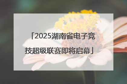 2025湖南省电子竞技超级联赛即将启幕