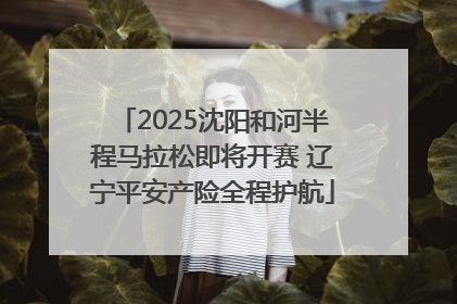 2025沈阳和河半程马拉松即将开赛 辽宁平安产险全程护航