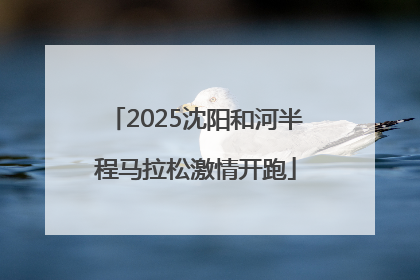 2025沈阳和河半程马拉松激情开跑
