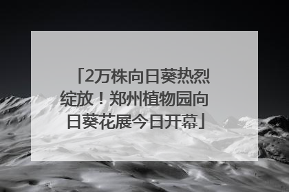 2万株向日葵热烈绽放！郑州植物园向日葵花展今日开幕