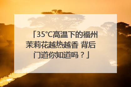 35℃高温下的福州茉莉花越热越香 背后门道你知道吗？