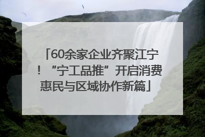 60余家企业齐聚江宁！“宁工品推”开启消费惠民与区域协作新篇