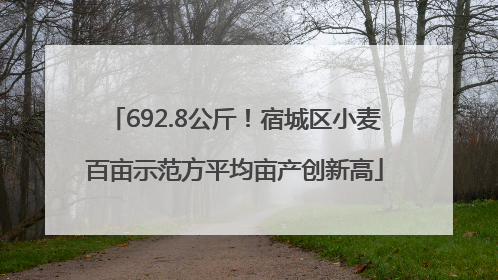 692.8公斤！宿城区小麦百亩示范方平均亩产创新高