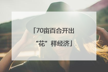 70亩百合开出“花”样经济
